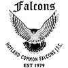 Hoyland Common Falcons title=